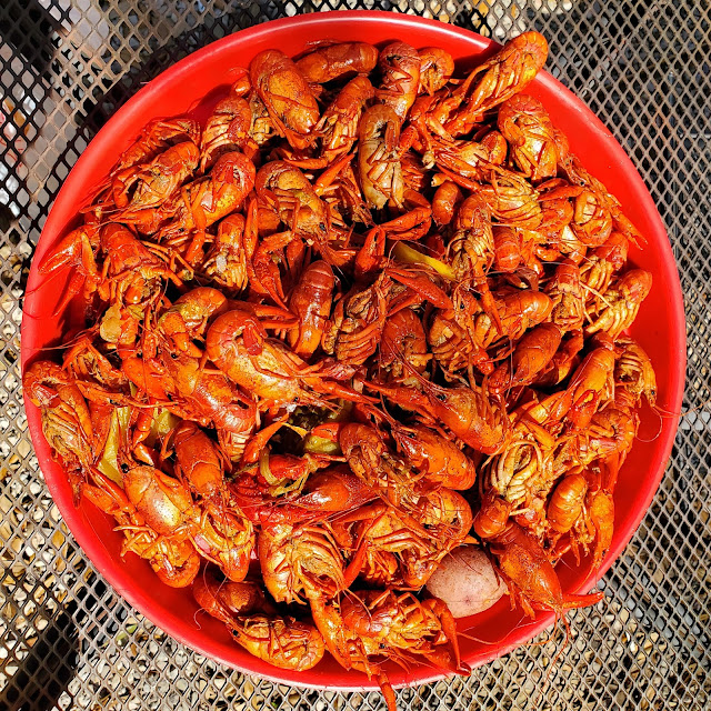 Crawfish