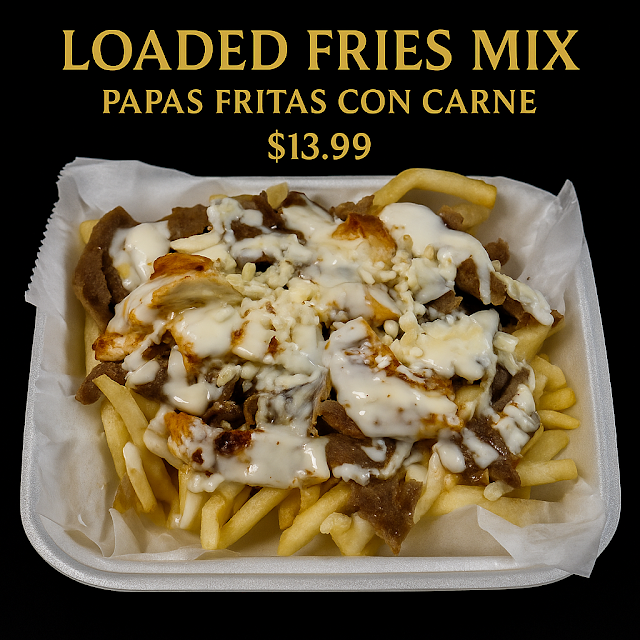 Loaded Fries Gyro