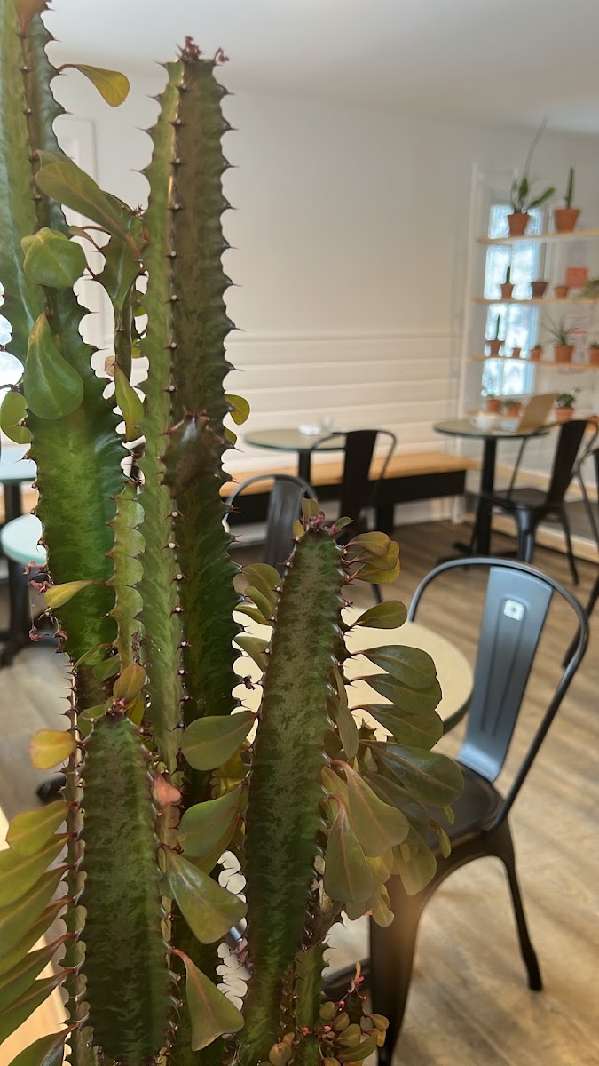 Folsom Point Cafe