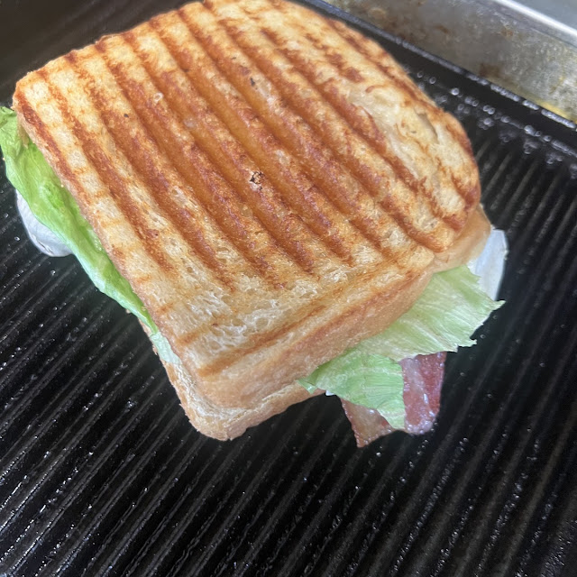 Panini