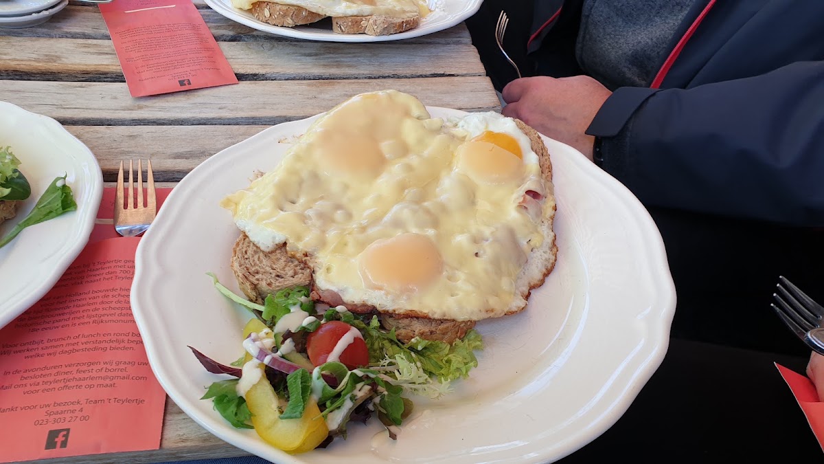 Cafe - Rest 't Teylertje