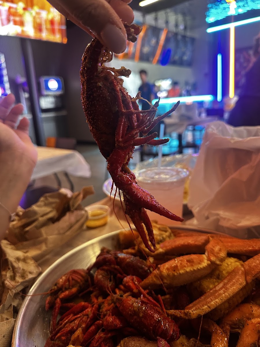 SeaZone Cajun Express