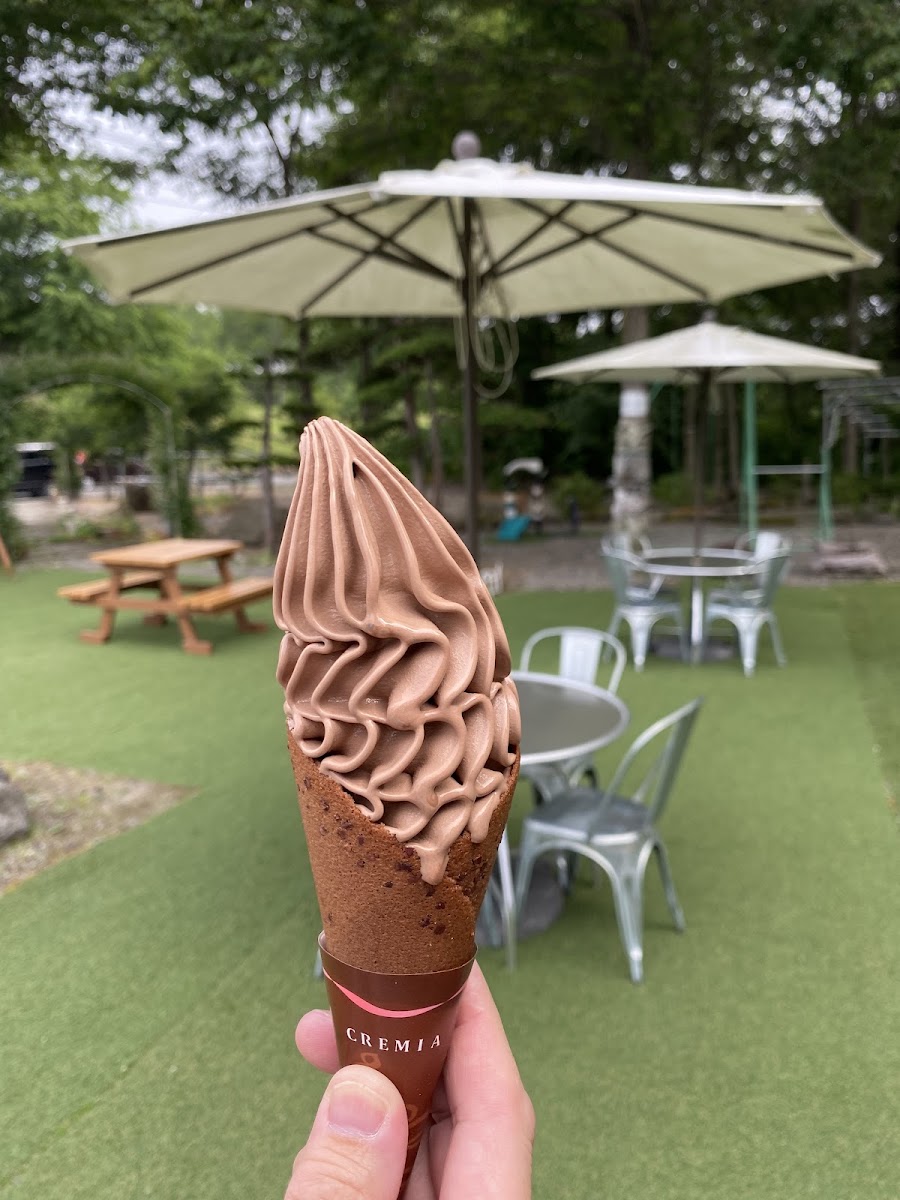 SWEETS FACTORY GREEN