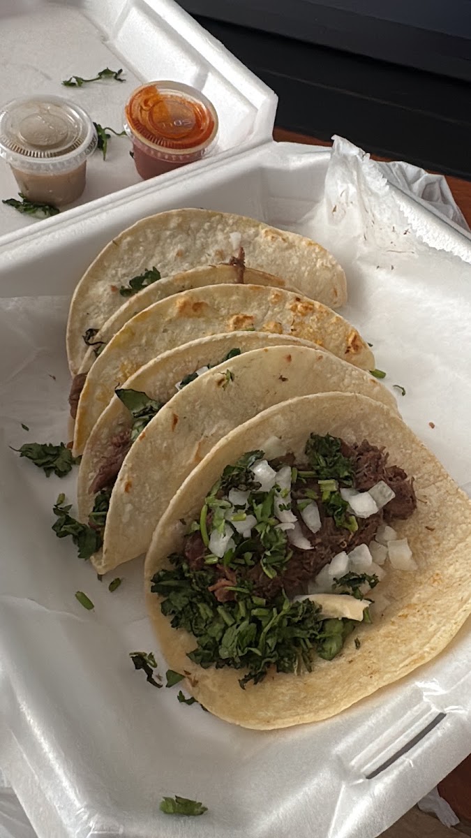 El torito burrito