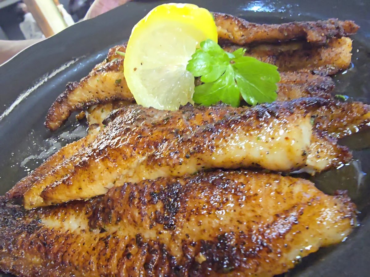 Shivers Creek Catfish House Express of Star