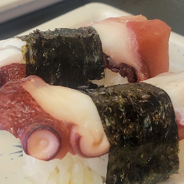 Tako Octopus