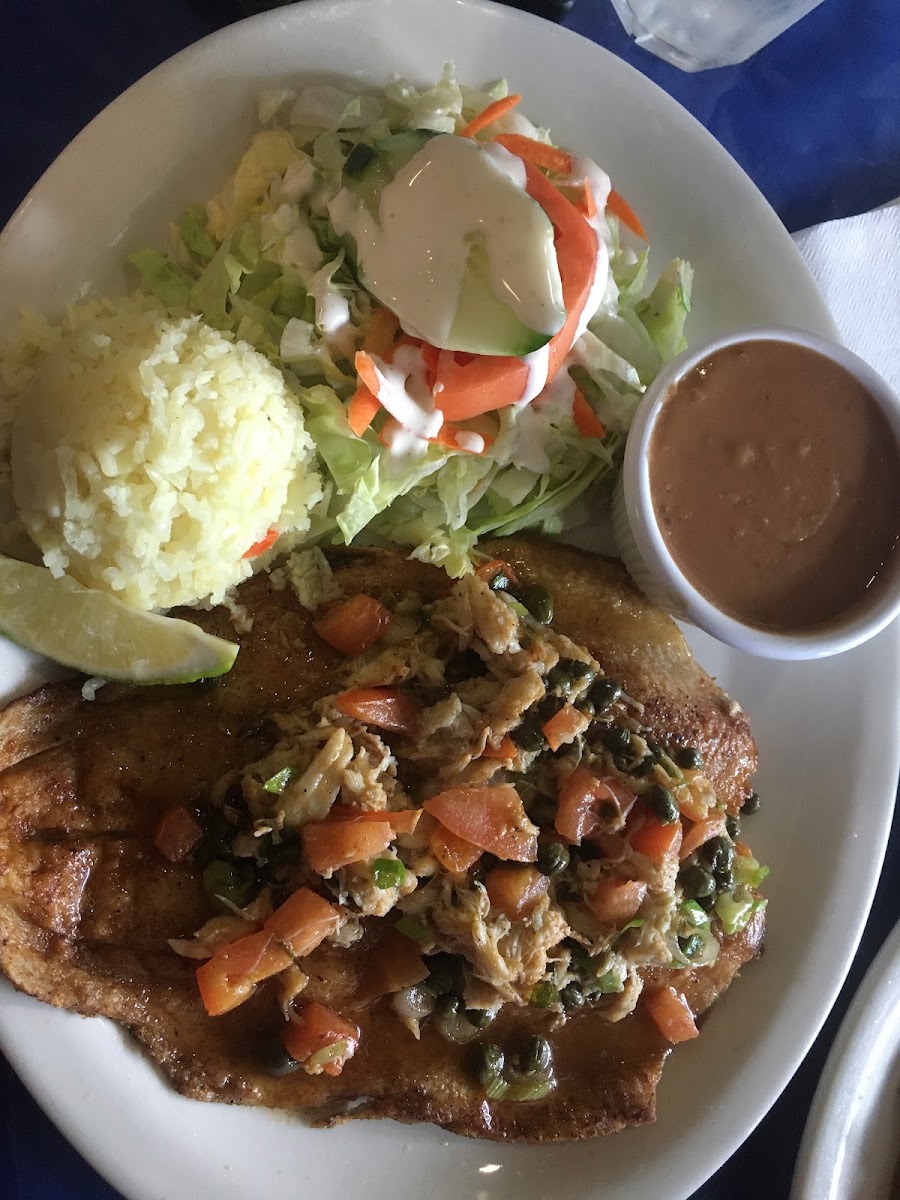 Delicias latina