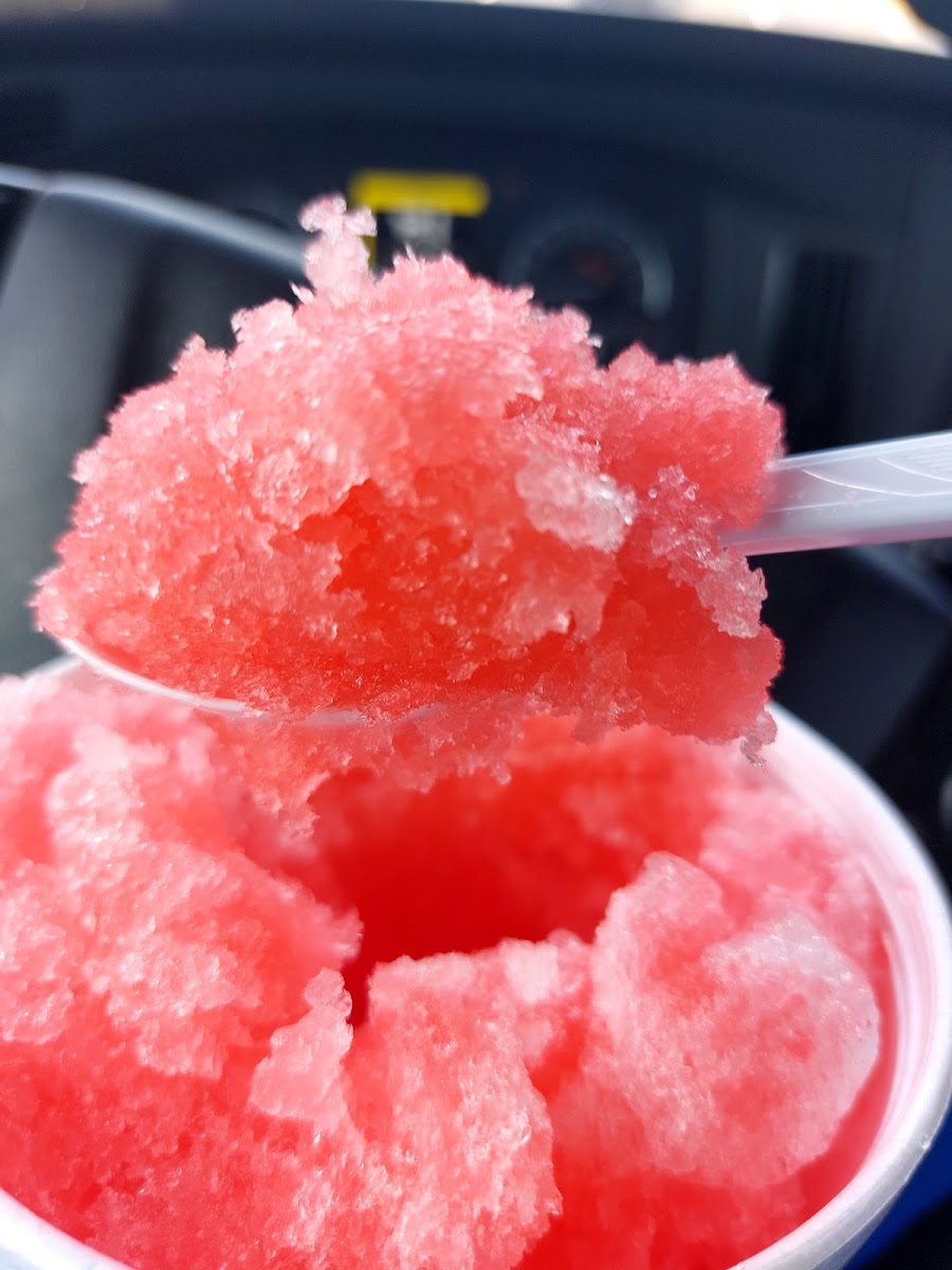 Sno Biz