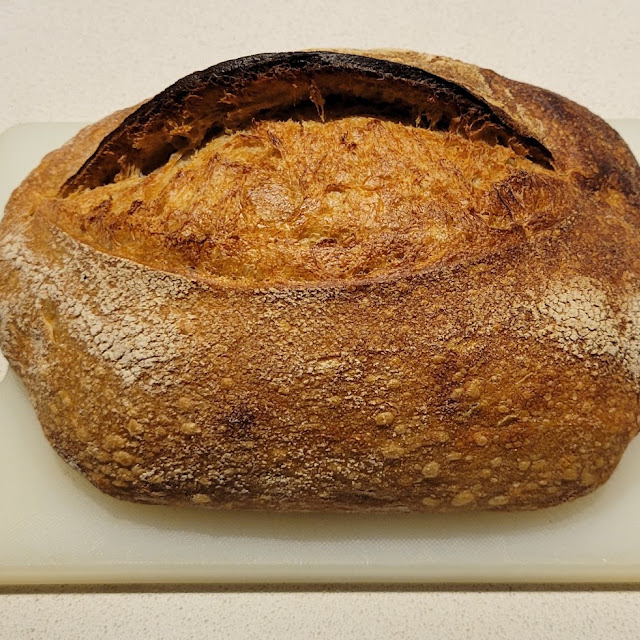 Sourdough Bread Loaf