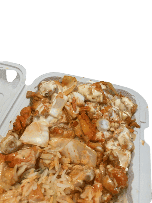 HALAL GYRO