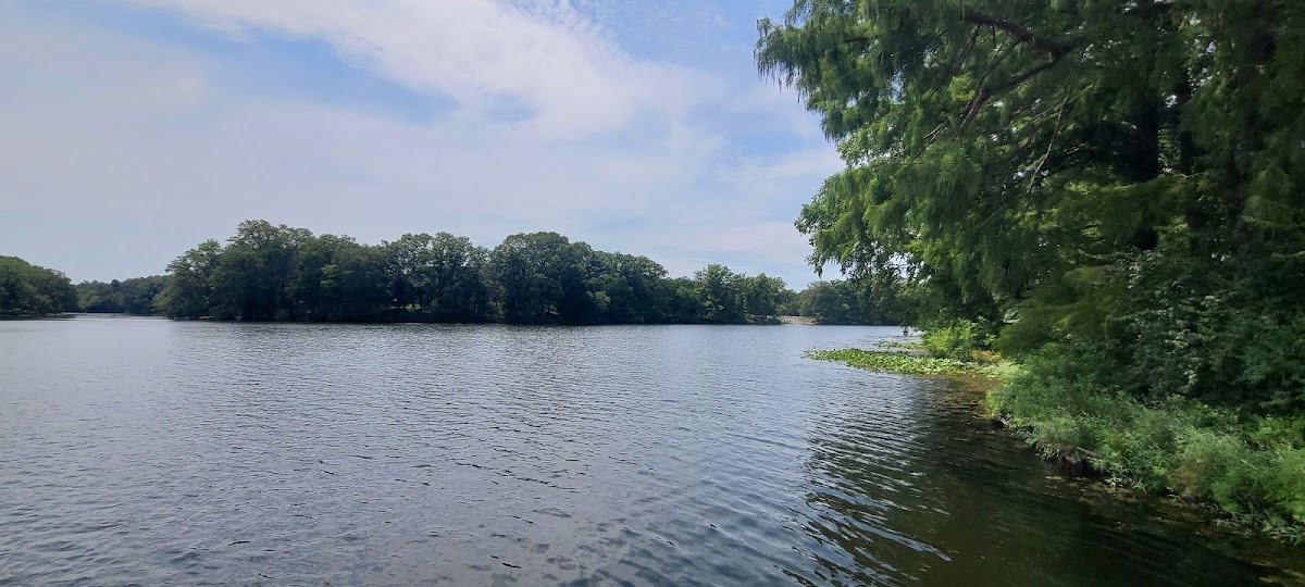 Harry's Lee's @ Redhill state park