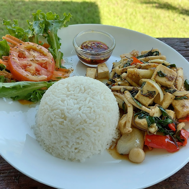 Kapow Mushroom & Tofu with Rice