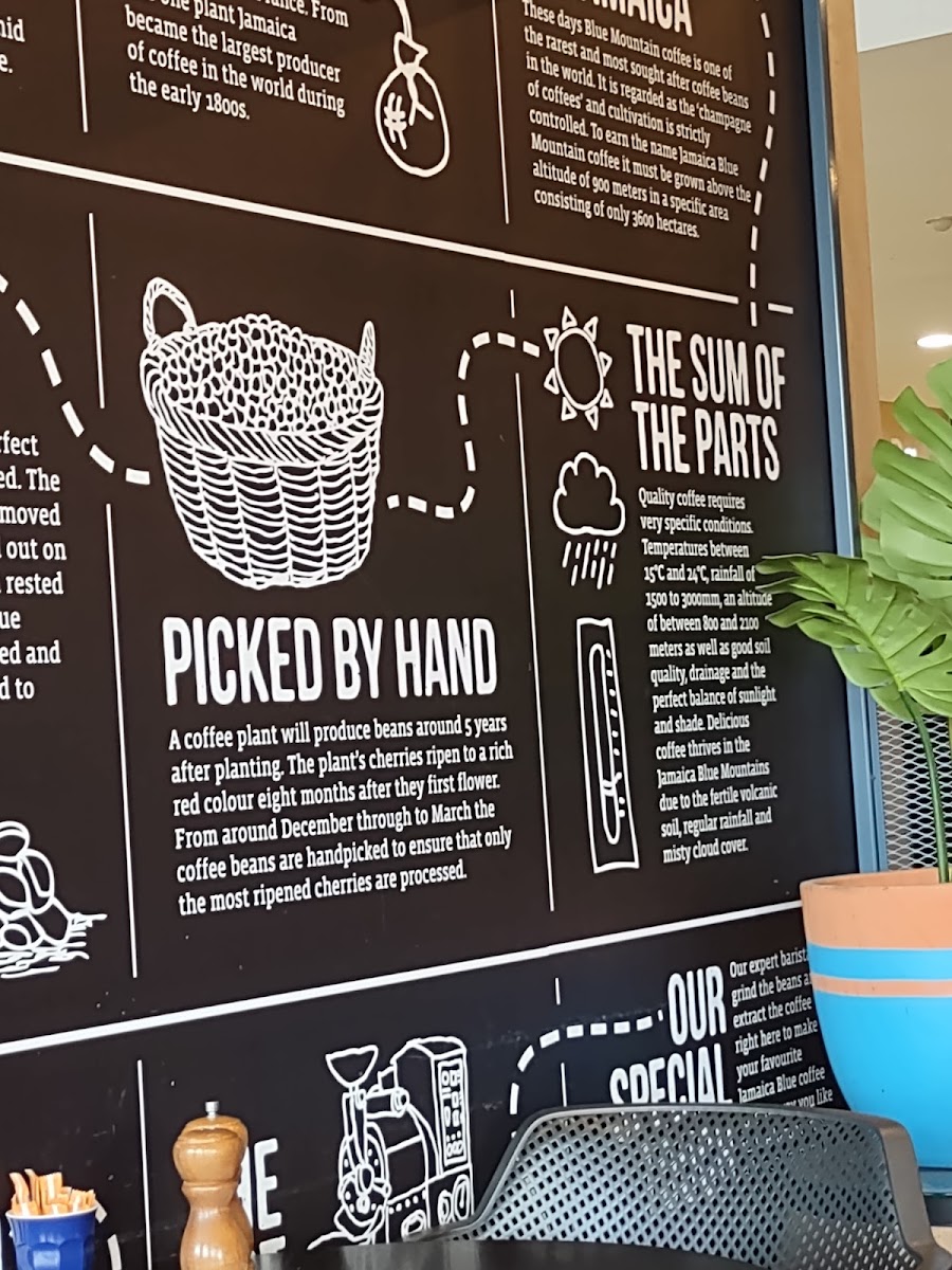 Jamaica Blue Willetton Southlands menu board