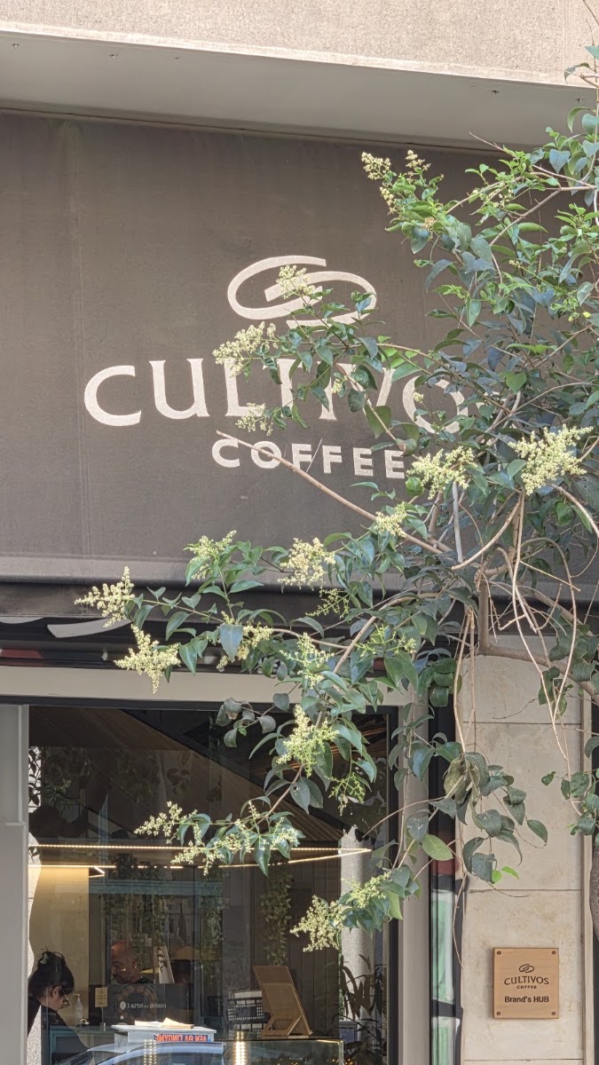 Cultivos coffee Exarchia