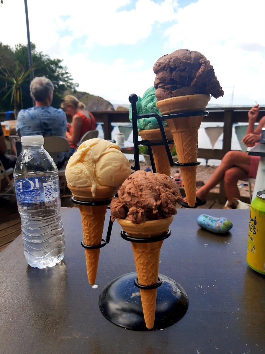 Fishcombe Cove Cafe/Bar