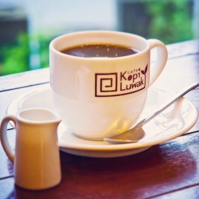 Cafe Kopi Luwak