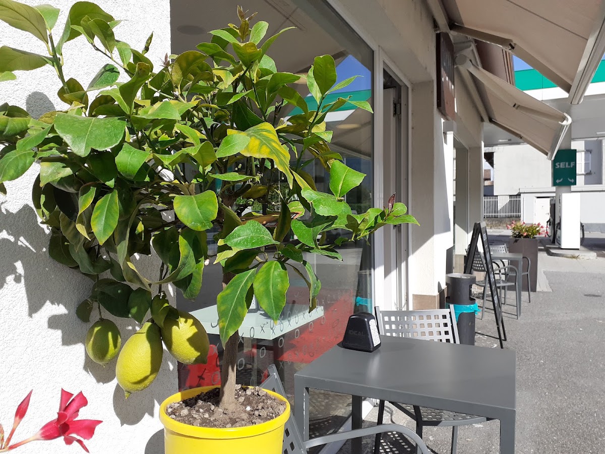 Grace Cafè
