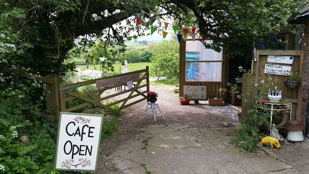 PetrAnnettes Vintage Barn Café