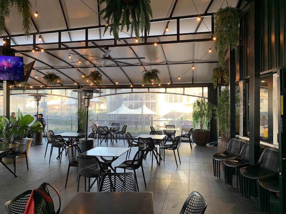 Cafe Academia