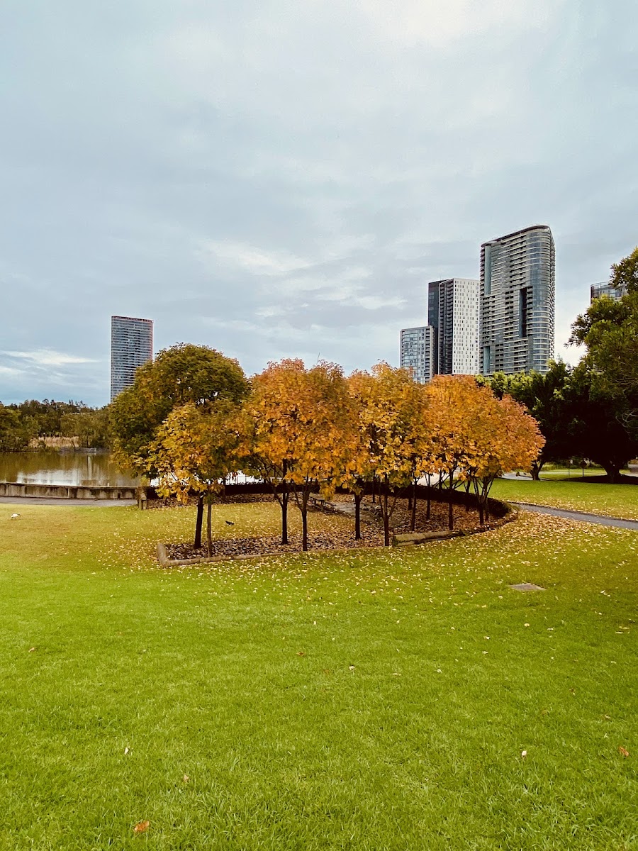 Waterview Café