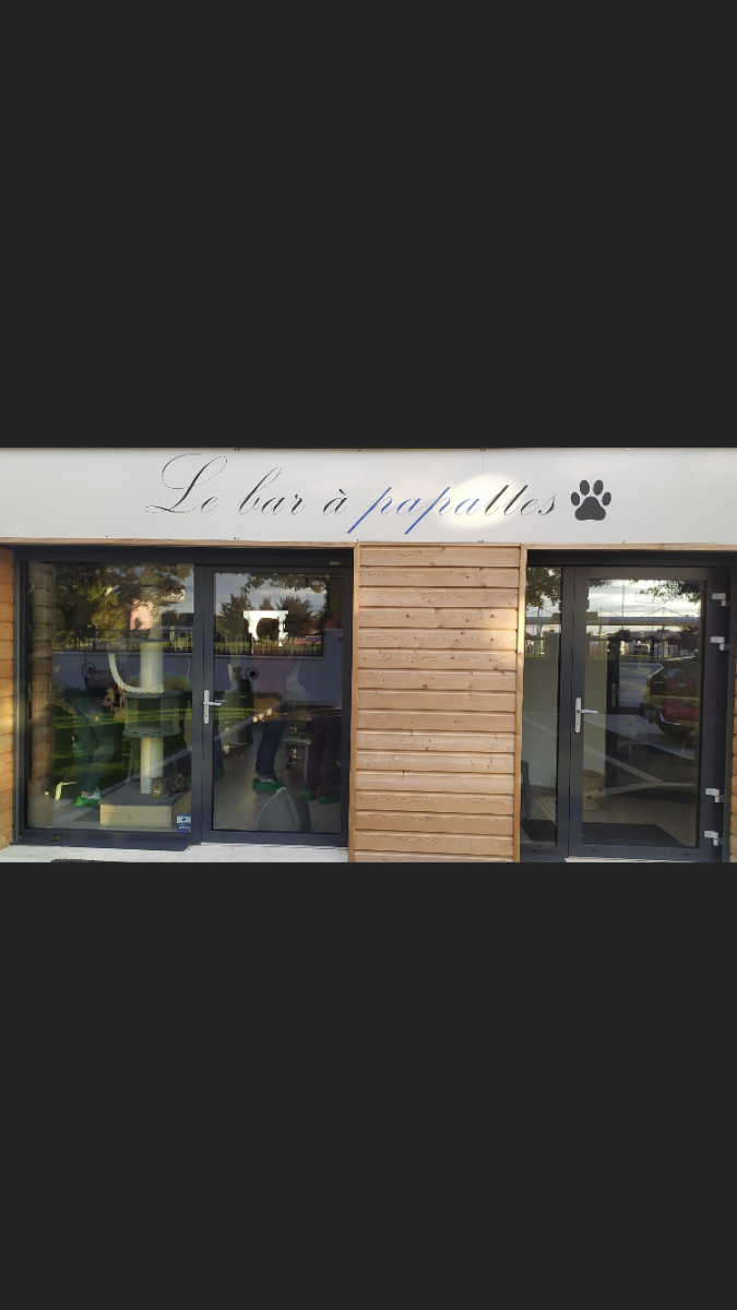 Bar à papattes(bar à chats)