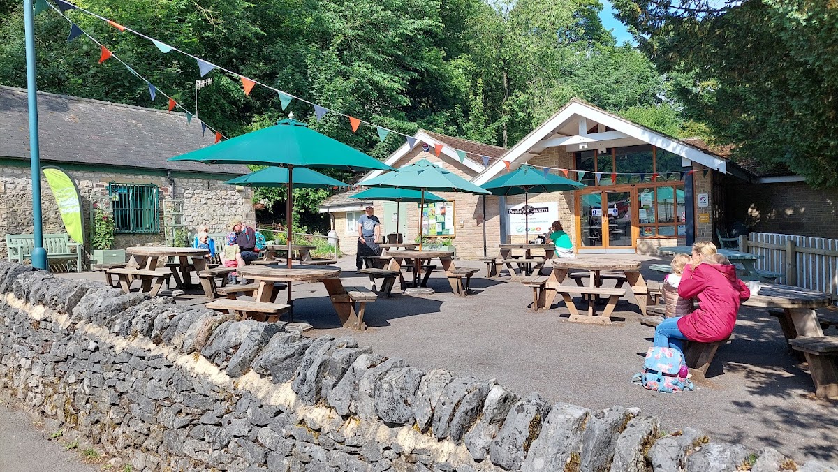 Cafe at Poole's Cavern