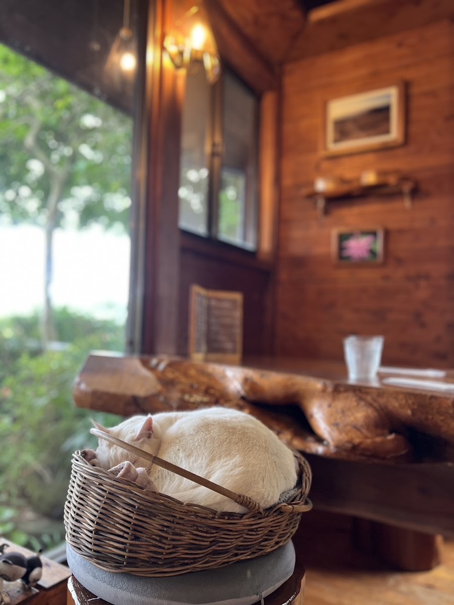 Slow Beat