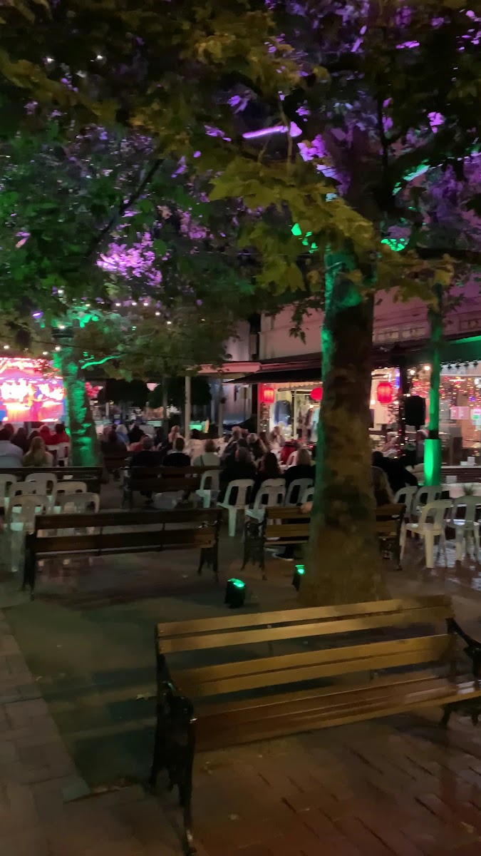 Alleycat Cafe