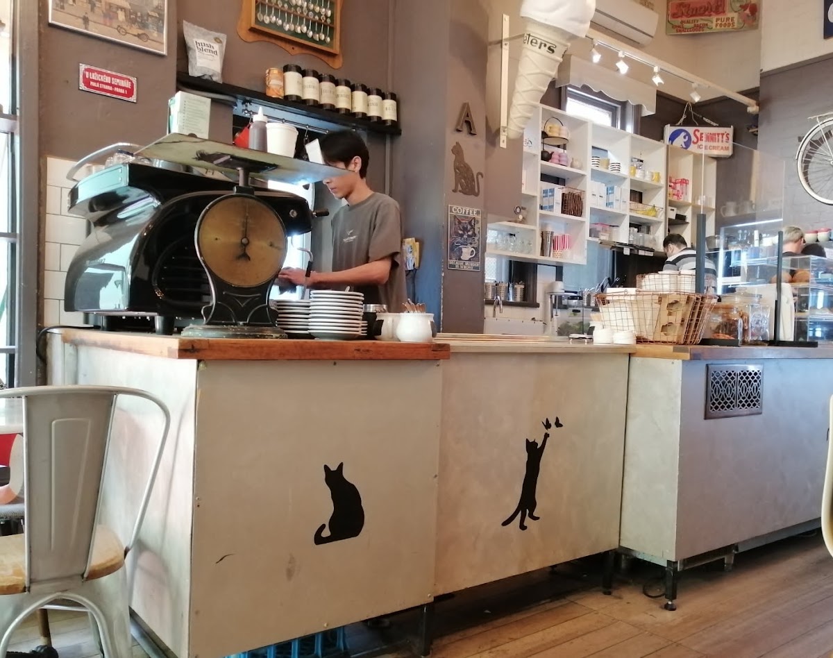 Alleycat Cafe
