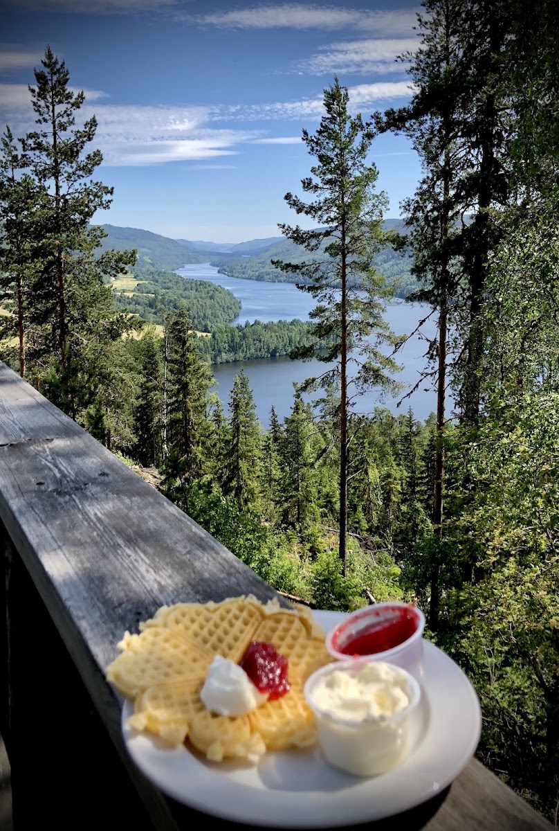 Vättaberget cafe