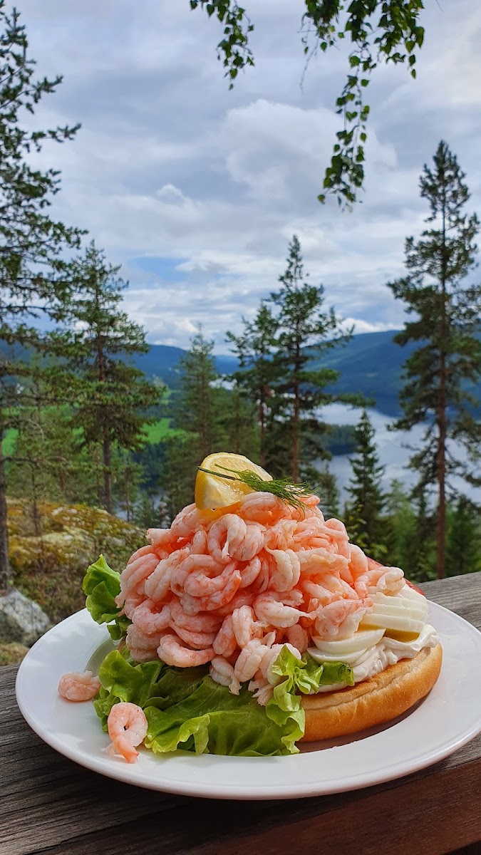 Vättaberget cafe