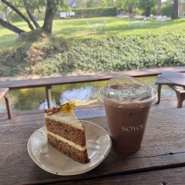 Carrot Cake & Mocha