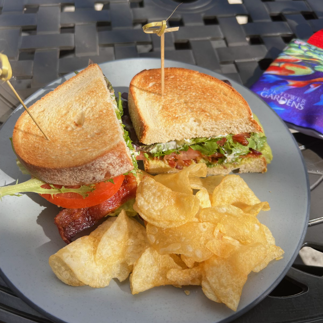 Avacado blt Sandwich