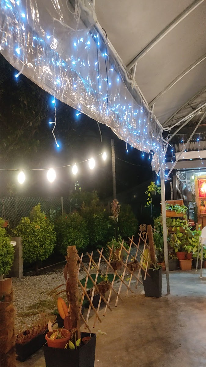 Tan Coffee House