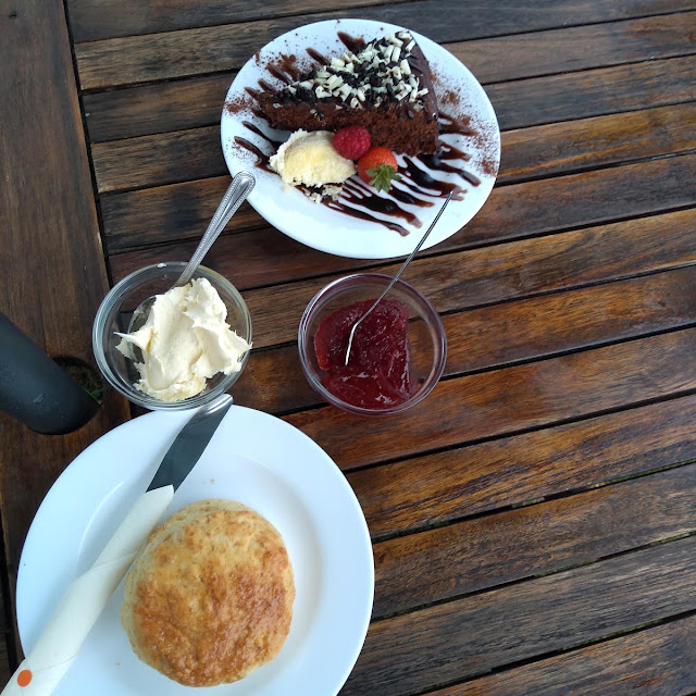 Home Made Scone and Cake
