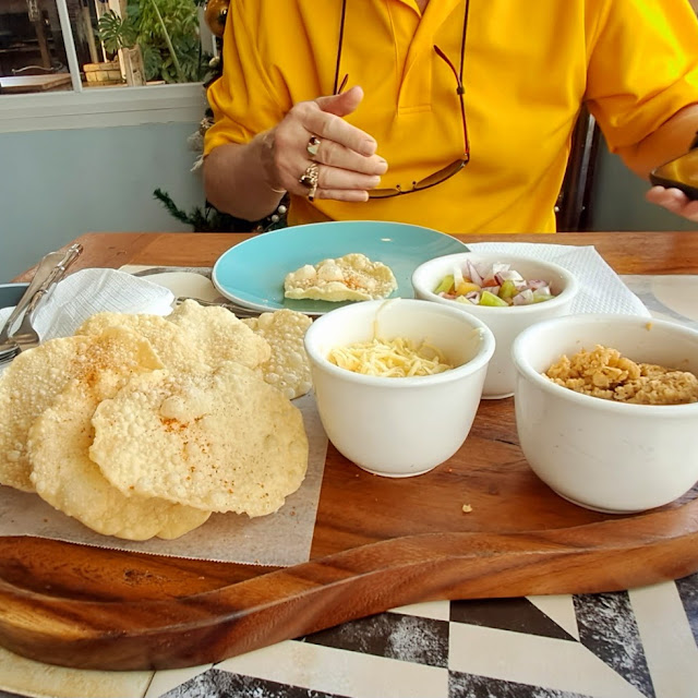 Deconstructed Wanton Chicken Taquitos