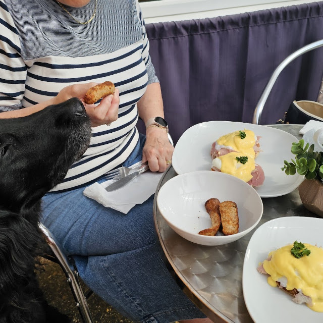 Sausages for the Dog