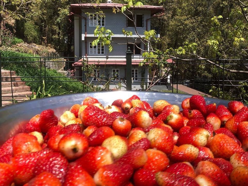 Cafe Chica, Abbotsford Heritage Hotel