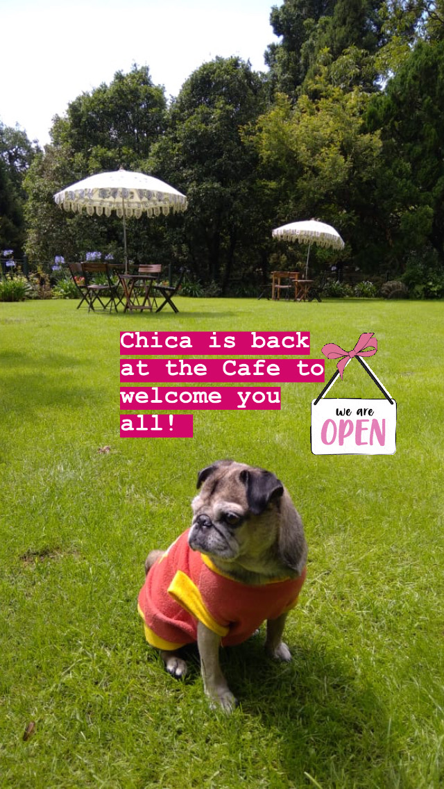 Cafe Chica, Abbotsford Heritage Hotel