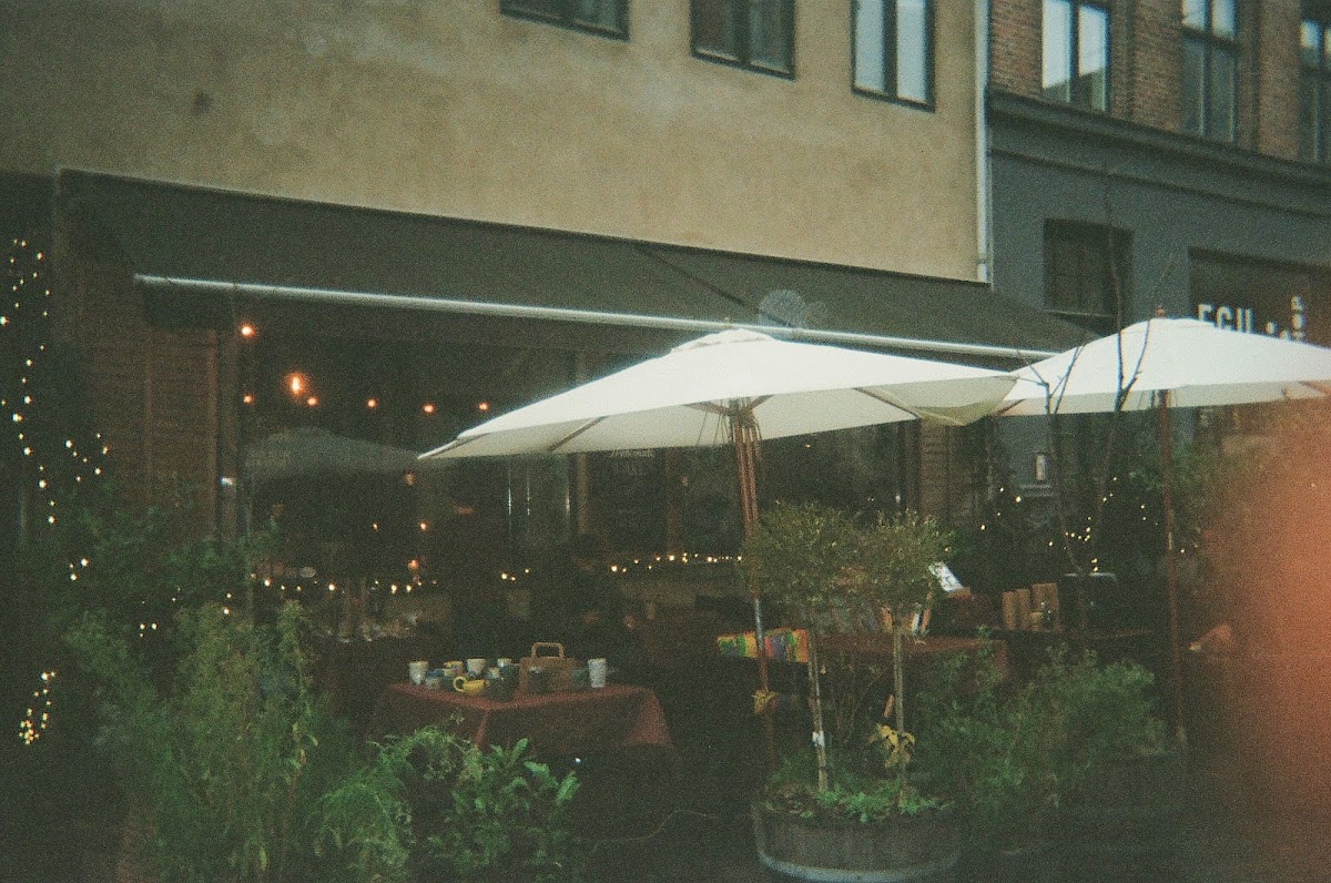 Arabica