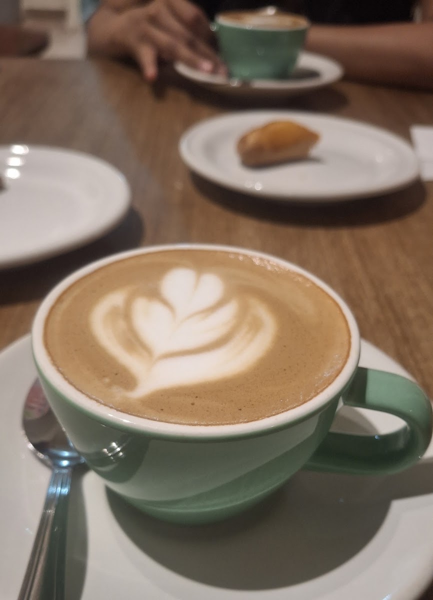 Cerro Brujo Mx Café Galería