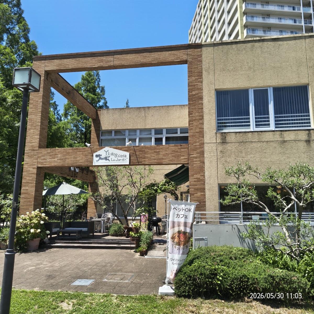 Y's Dog Cafe