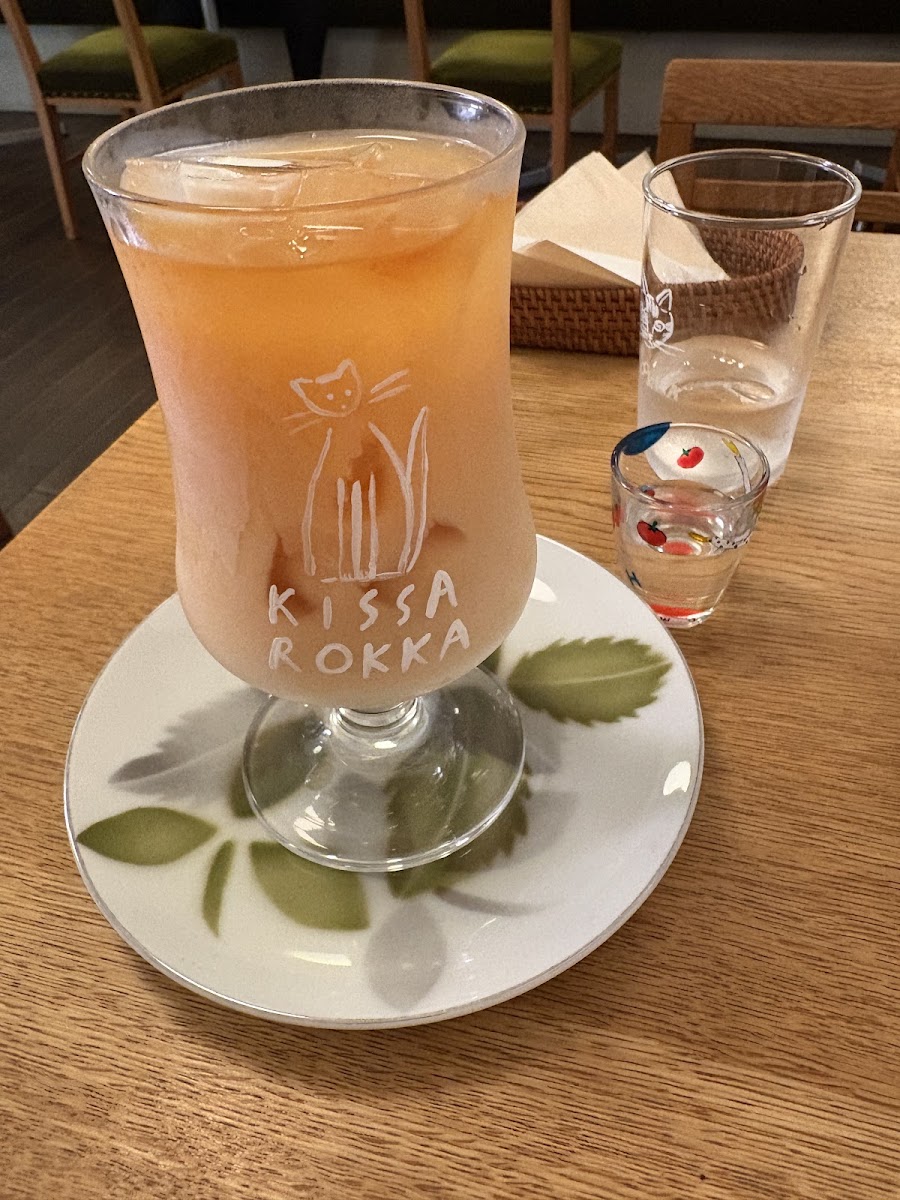 Kissa Rokka