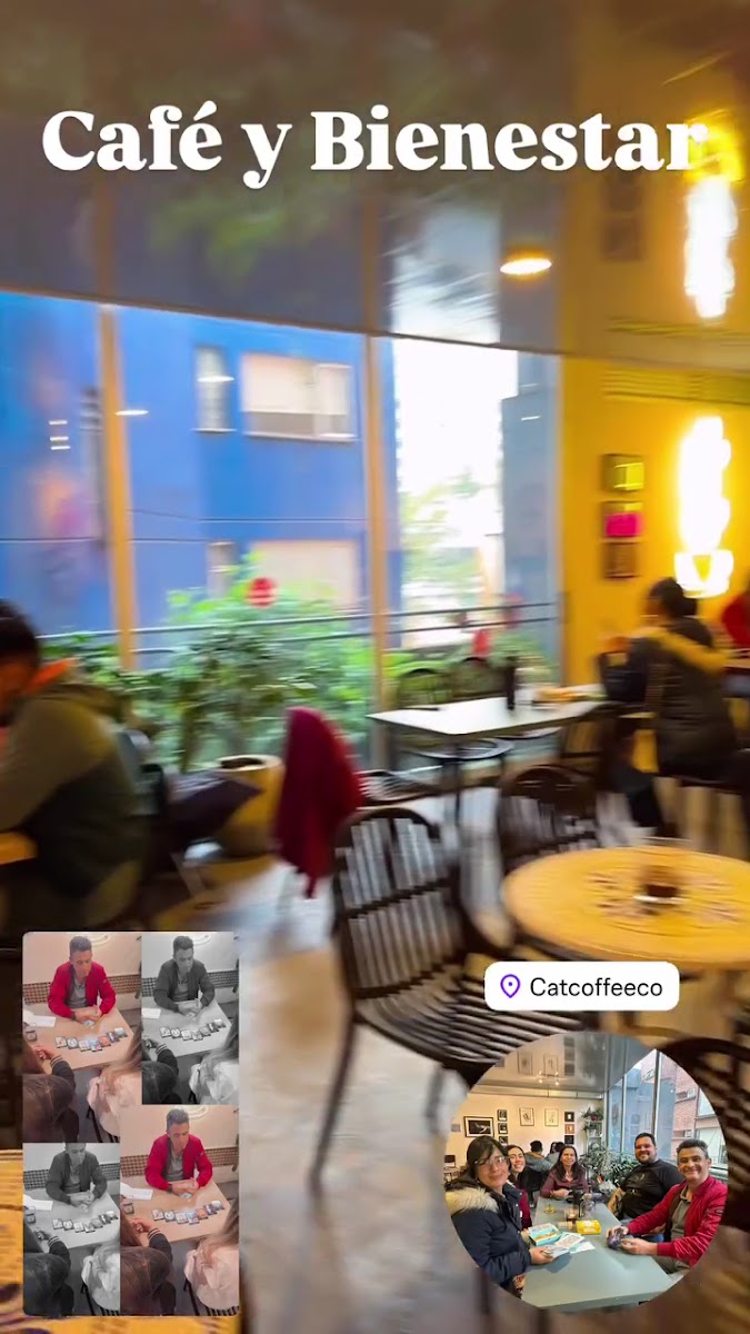 CatCoffee Café