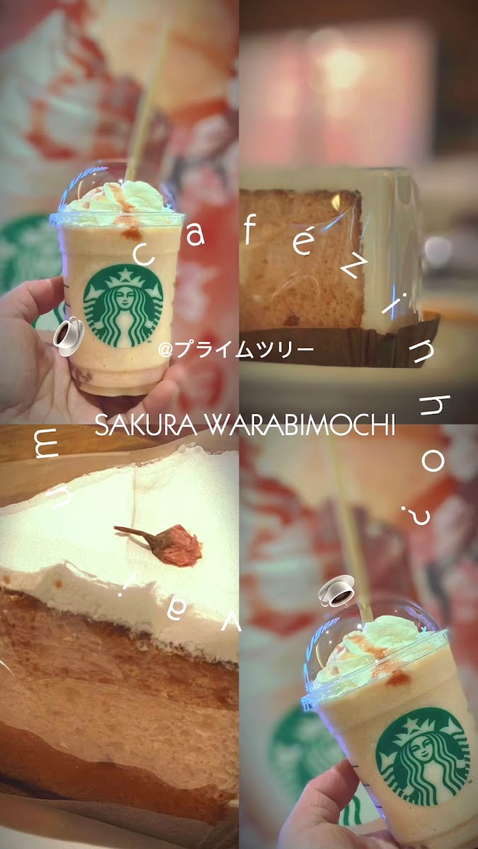 Starbucks Coffee - Prime Tree Akaike