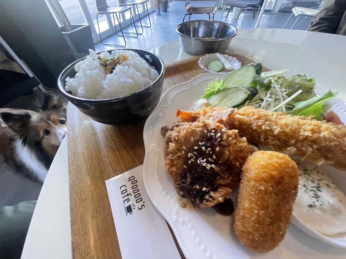 Qoooo's cafe