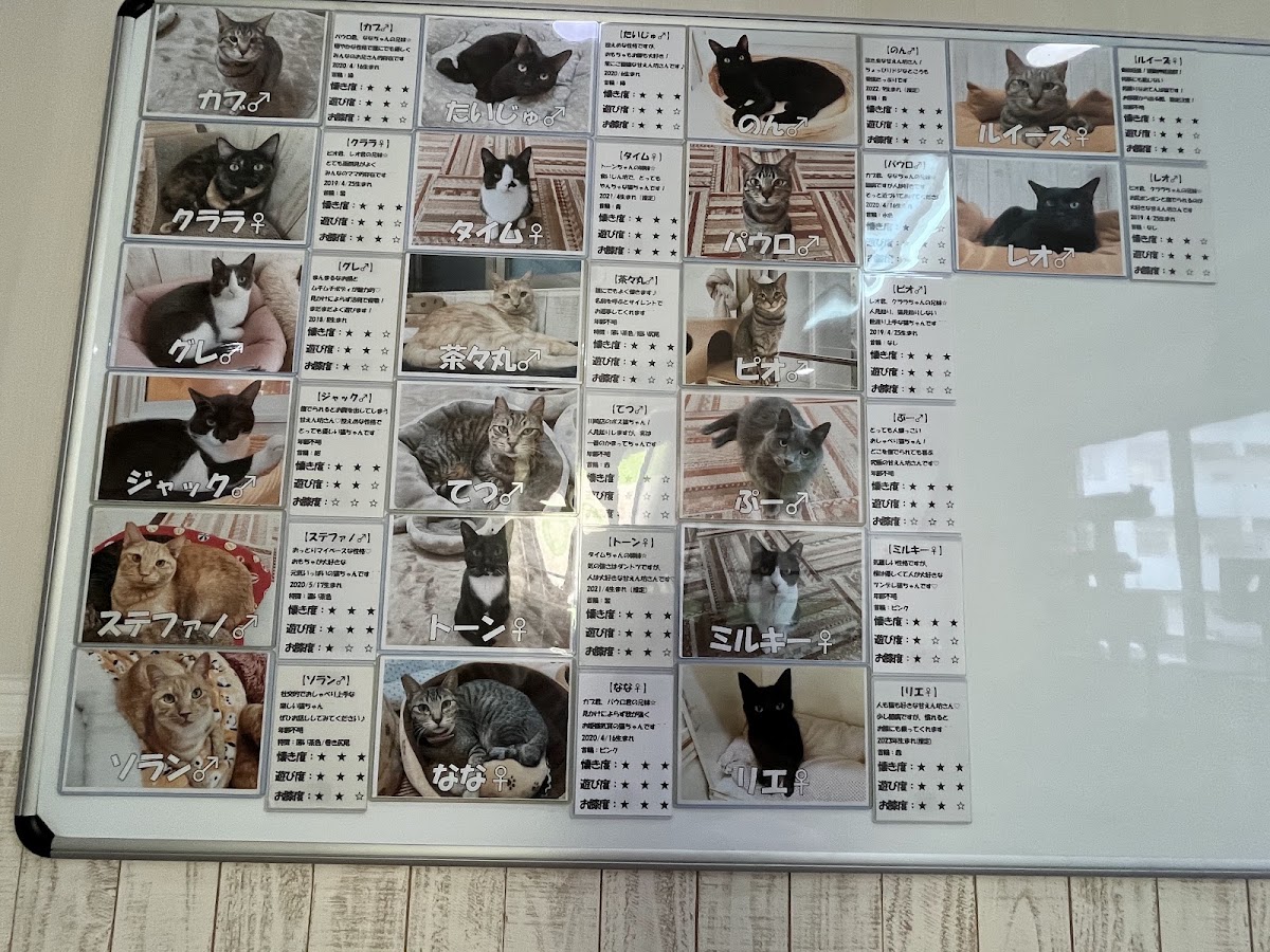 Nyankuru Kawasaki menu board