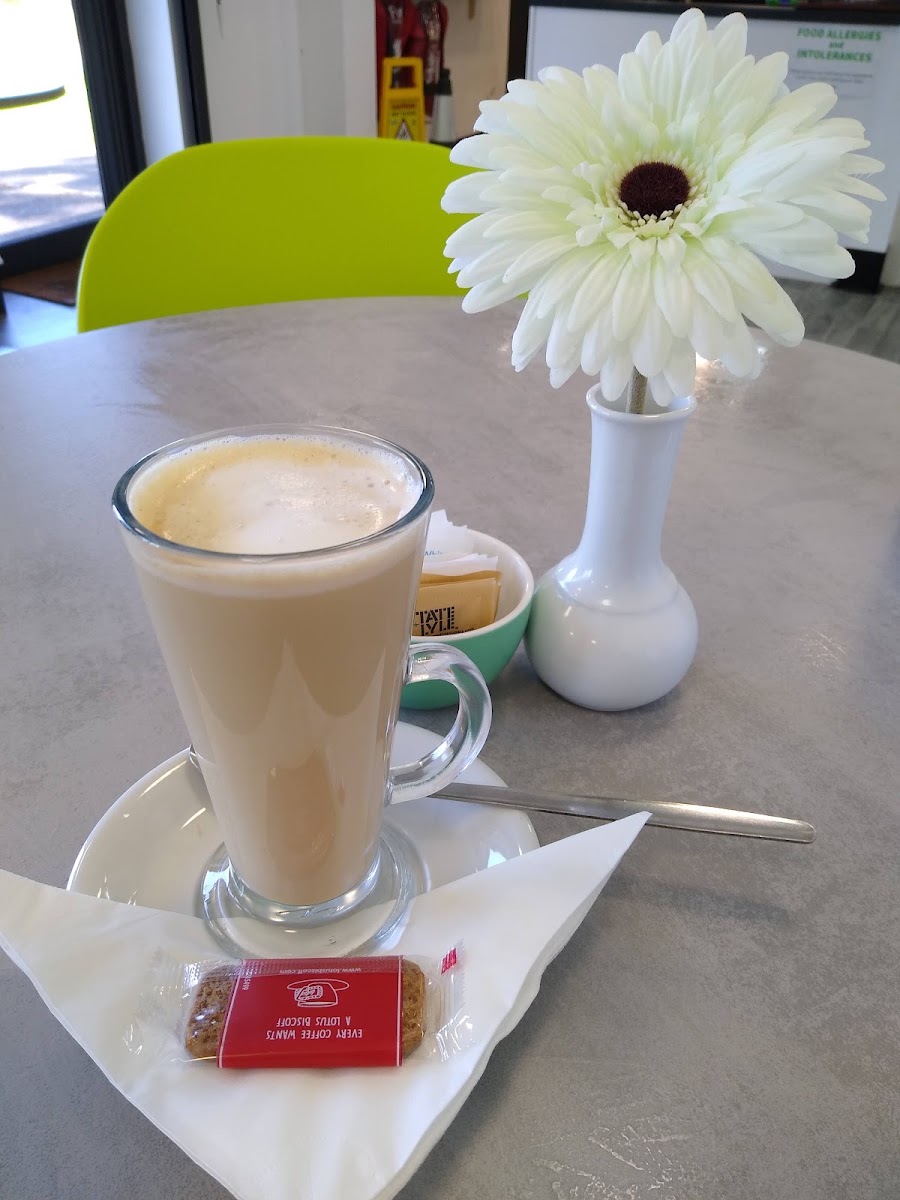 Nibbles Training Café