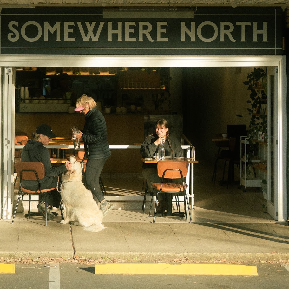 Somewhere North