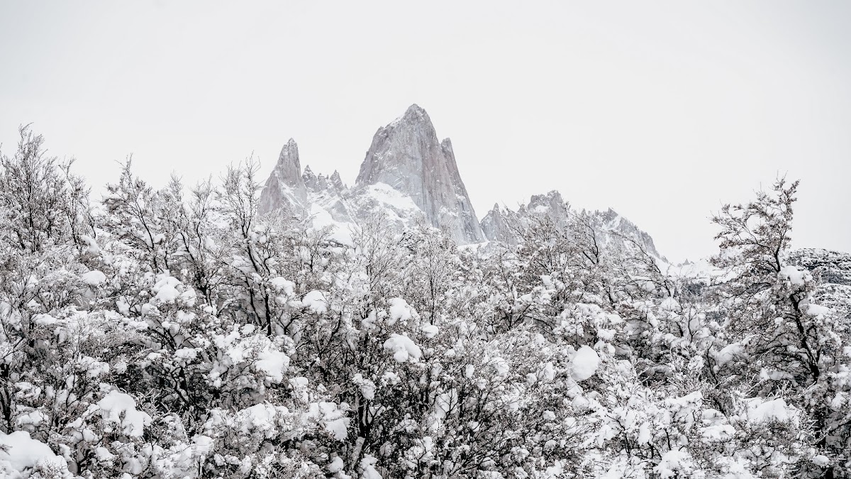 LA NIEVE CAFÉ y viandas (lunch and coffee)